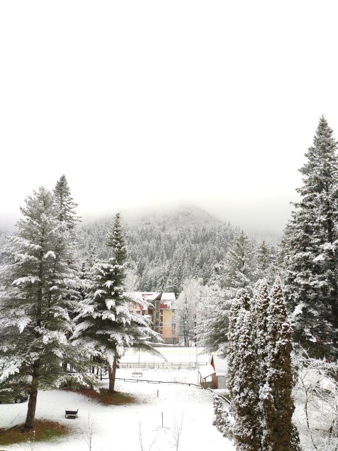 Hotel Ciucas BaileTusnad Buitenkant foto